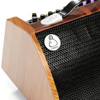 YM120 120W Guitar Amplifier - Studio- Bluetooth Speaker for Live Gigs & Home Recording with Microphone, audio cable, instrument cable, charging cable, shoulder strap, etc.
