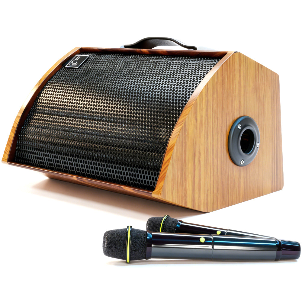 120W Professional Guitar Amplifier - Studio-Grade Bluetooth Speaker for Live Gigs & Home Recording