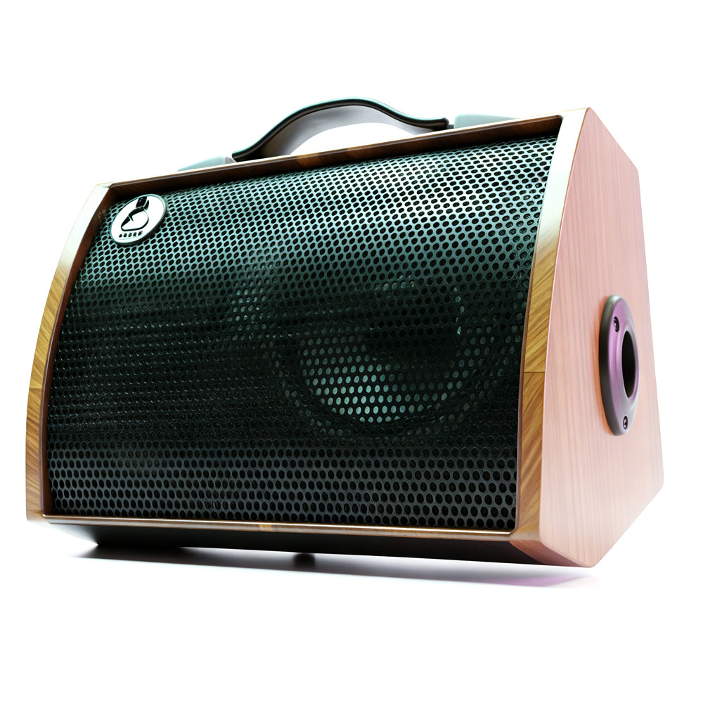 120W Professional Guitar Amplifier - Studio-Grade Bluetooth Speaker for Live Gigs & Home Recording