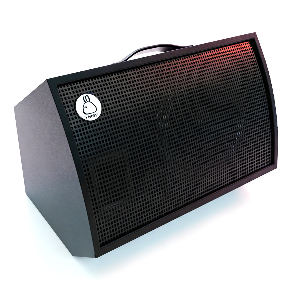 Hi-Fi Rechargeable Bluetooth Speaker - High-Power Amplifier for Acoustic Guitar, Karaoke, Live Streaming & Built-in Recording/Monitoring